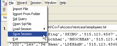 Csv To Access - sava/load session