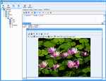 DB Blob Editor