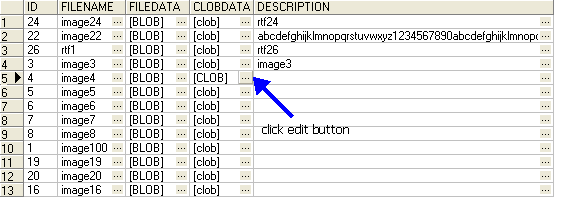 show lob table data