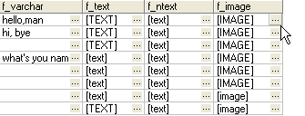 Sql Server BLOB Data Editor - show lob table data
