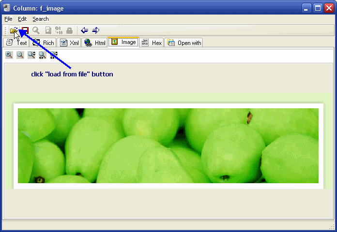 Sql Server BLOB Data Editor - load lob from file