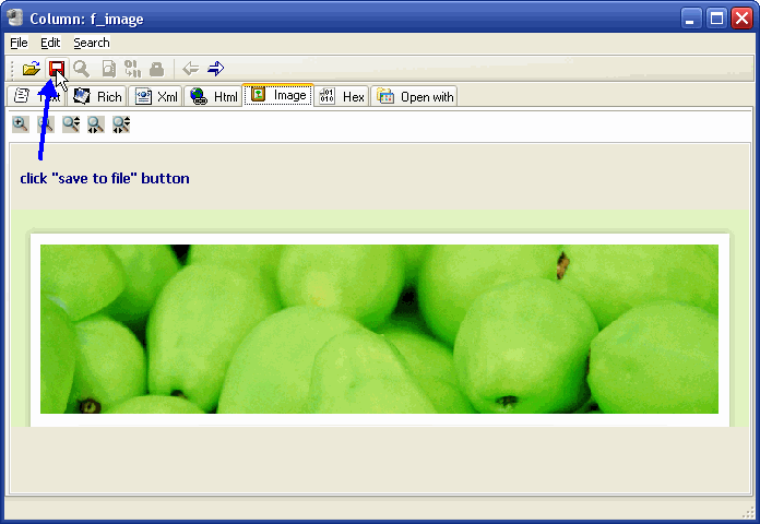 Sql Server BLOB Data Editor - save lob to file