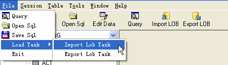 save importing/exporting Sql Server LOB work as task