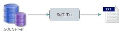 sql server export txt