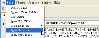 Import Data From Csv To DB2 - sava/load session