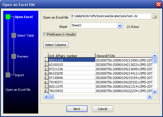 Excel to Mysql wizard - Open Excel file