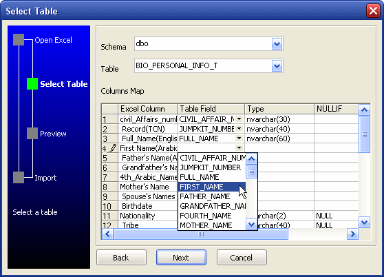 Excel to sql server wizard - select table