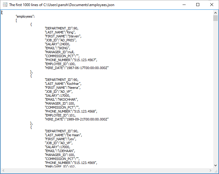 Convert Excel file to JSON file - view JSON file