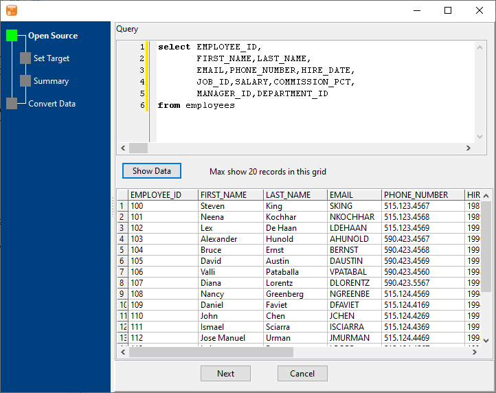 Export data from database Query To File - enter query