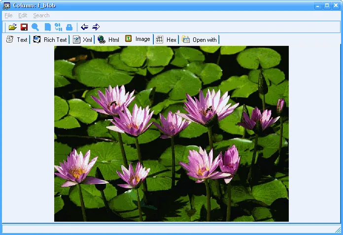 View and edit image data stored in a database BLOB column