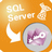 SQL Server to Access