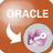 Oracle to Access