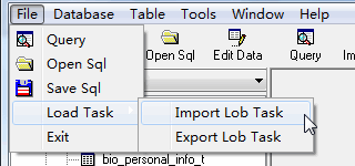 OraLobEditor save/load import/export task