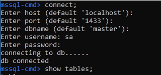 Direct connect to SQL Server