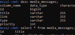 Run SQL Server command-line tool in Interactive Mode