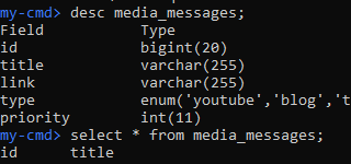 Run MySQL command-line tool in Interactive Mode