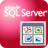 SqlLobEditor