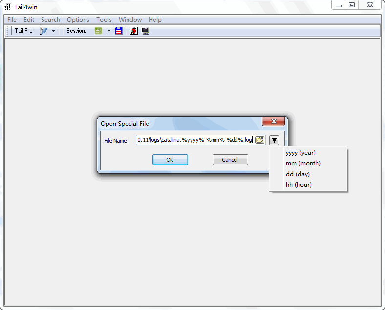 Opening a log file with a date pattern in Tail4win's Open Special File dialog