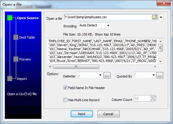 Import Data From Csv (Txt) To PostgreSQL - open a file